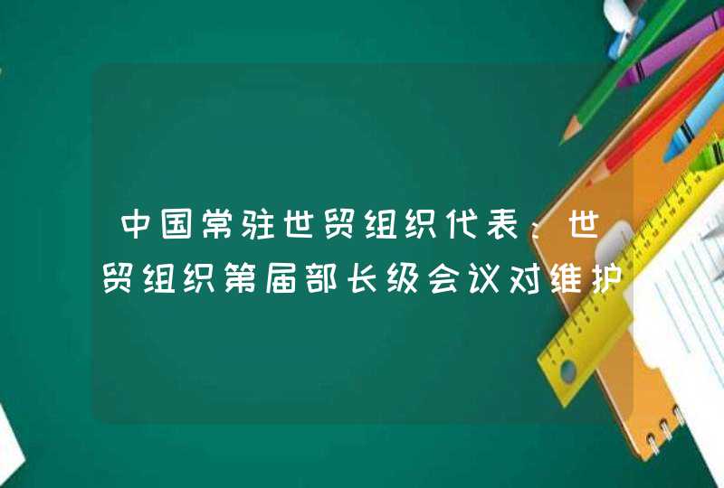 中国常驻世贸组织代表：世贸组织第届部长级会议对维护多边主义具有重要意义,第1张