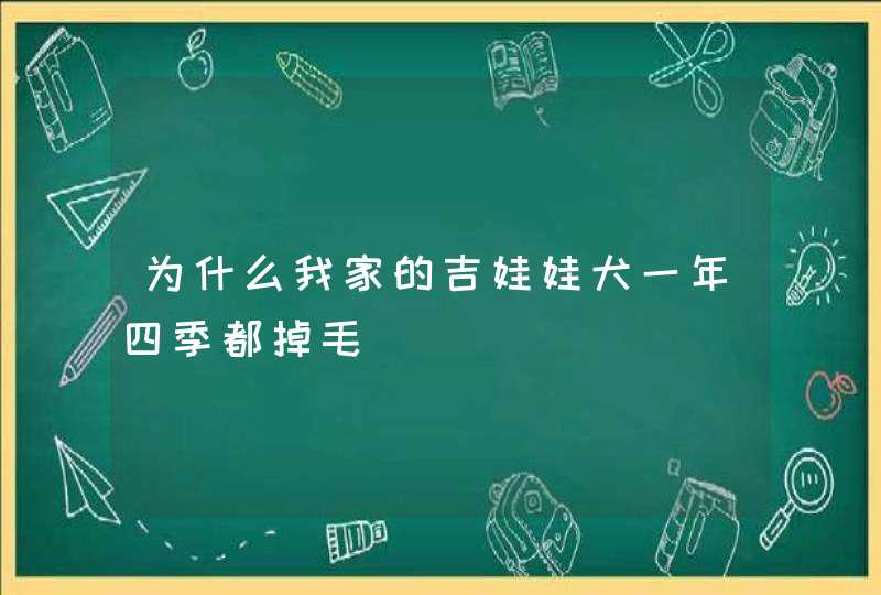 为什么我家的吉娃娃犬一年四季都掉毛,第1张