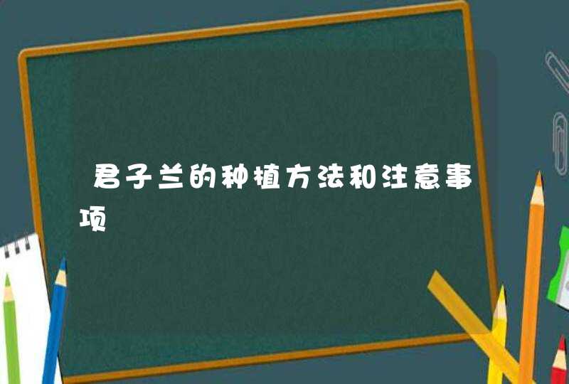 君子兰的种植方法和注意事项,第1张