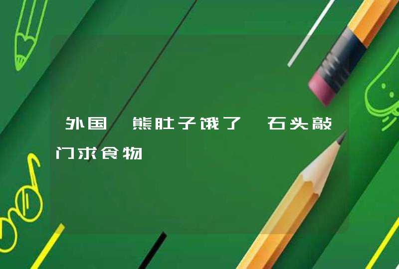 外国浣熊肚子饿了拎石头敲门求食物,第1张