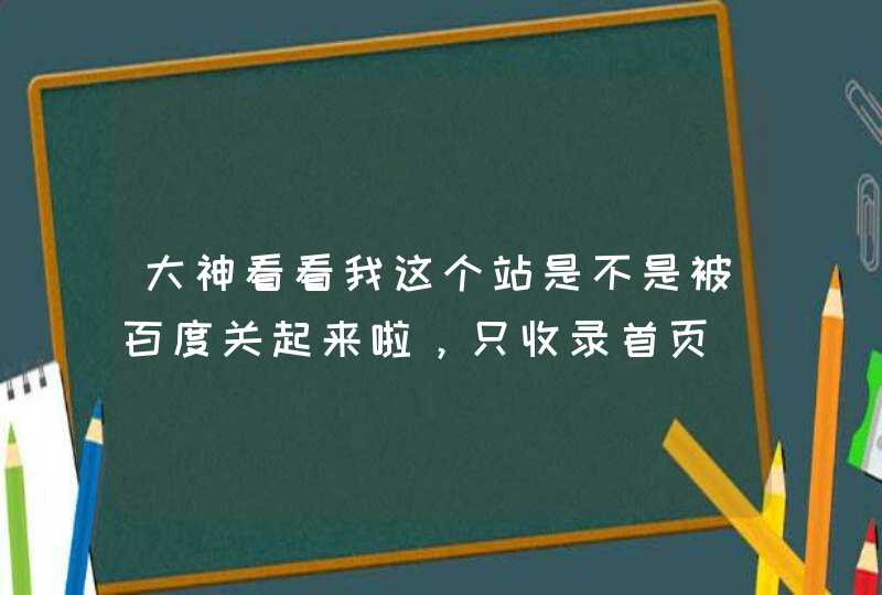 大神看看我这个站是不是被百度关起来啦，只收录首页,第1张