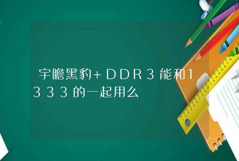 宇瞻黑豹 DDR3能和1333的一起用么,第1张