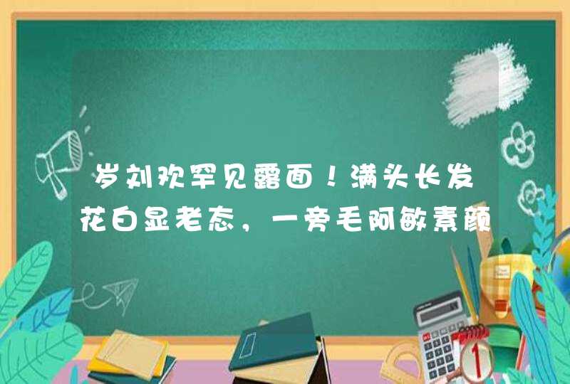 岁刘欢罕见露面！满头长发花白显老态，一旁毛阿敏素颜皮肤细嫩,第1张