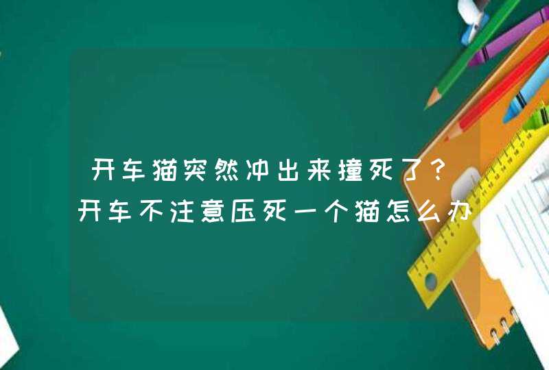 开车猫突然冲出来撞死了？开车不注意压死一个猫怎么办,第1张