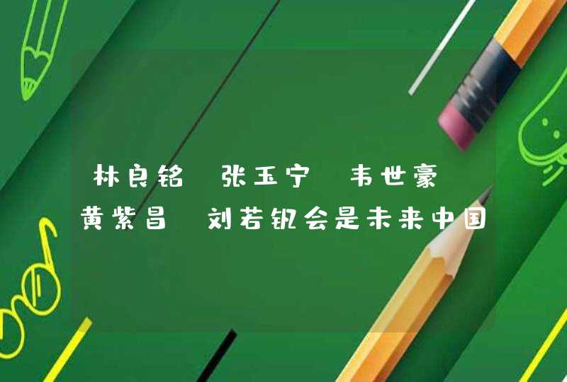 林良铭、张玉宁、韦世豪、黄紫昌、刘若钒会是未来中国队的主力前锋吗？你怎么看？,第1张
