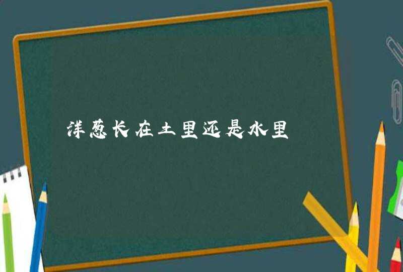 洋葱长在土里还是水里,第1张