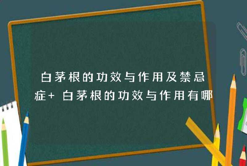 白茅根的功效与作用及禁忌症 白茅根的功效与作用有哪些,第1张