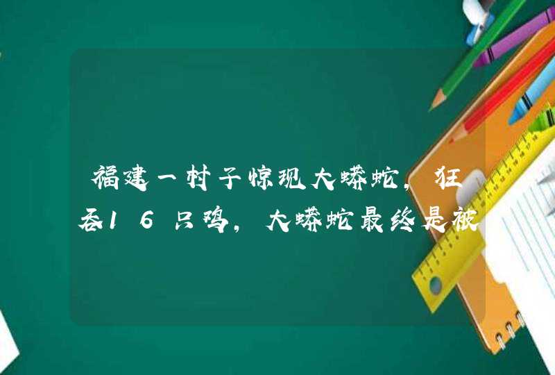 福建一村子惊现大蟒蛇，狂吞16只鸡，大蟒蛇最终是被如何处理的？,第1张