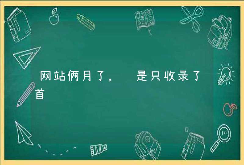 网站俩月了，还是只收录了首页,第1张