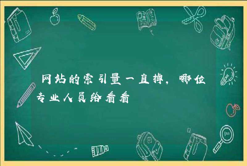 网站的索引量一直掉，哪位专业人员给看看,第1张