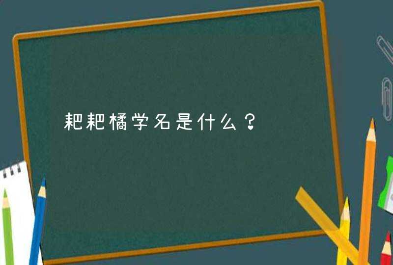 耙耙橘学名是什么？,第1张