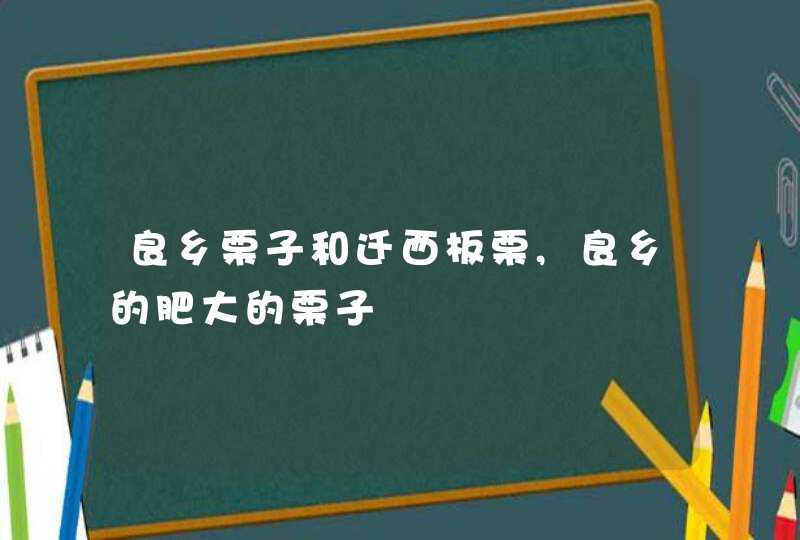 良乡栗子和迁西板栗,良乡的肥大的栗子,第1张