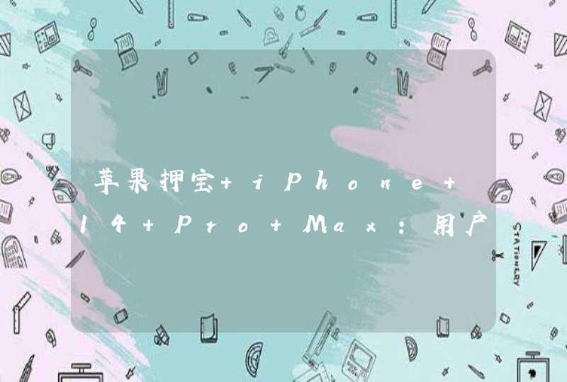 苹果押宝 iPhone 14 Pro Max：用户不差钱,第1张