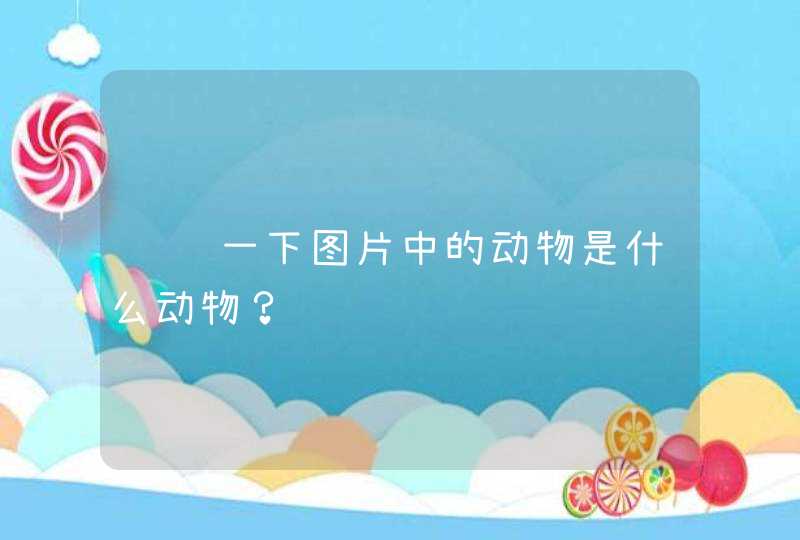 请问一下图片中的动物是什么动物？,第1张