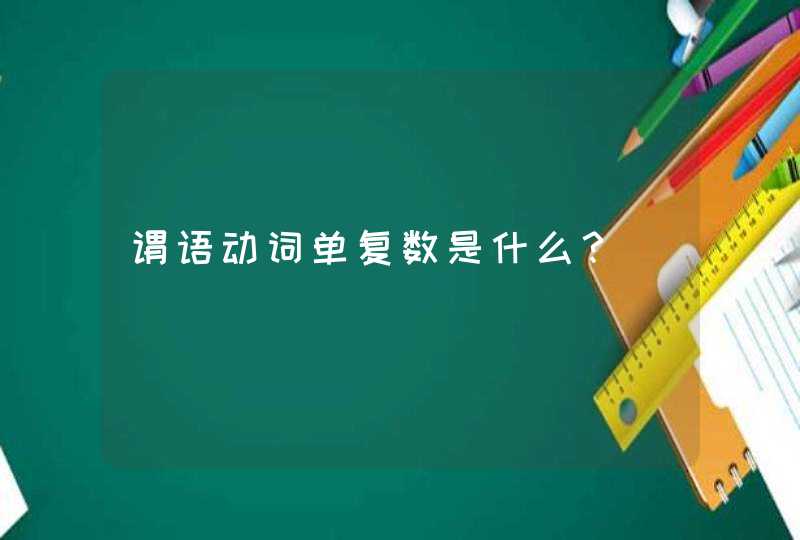 谓语动词单复数是什么？,第1张