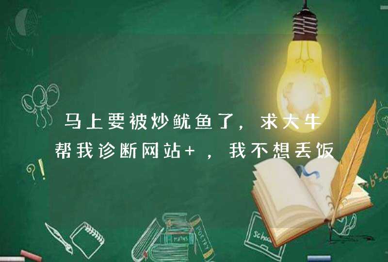 马上要被炒鱿鱼了，求大牛帮我诊断网站 ，我不想丢饭碗！,第1张