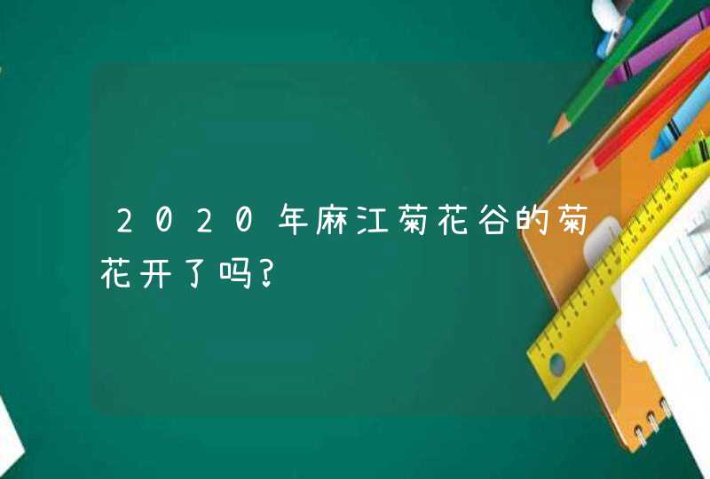 2020年麻江菊花谷的菊花开了吗?,第1张