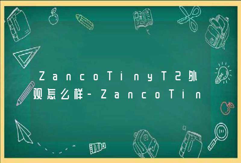 ZancoTinyT2外观怎么样-ZancoTinyT2手机外观参数,第1张