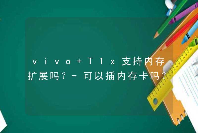 vivo T1x支持内存扩展吗？-可以插内存卡吗？,第1张