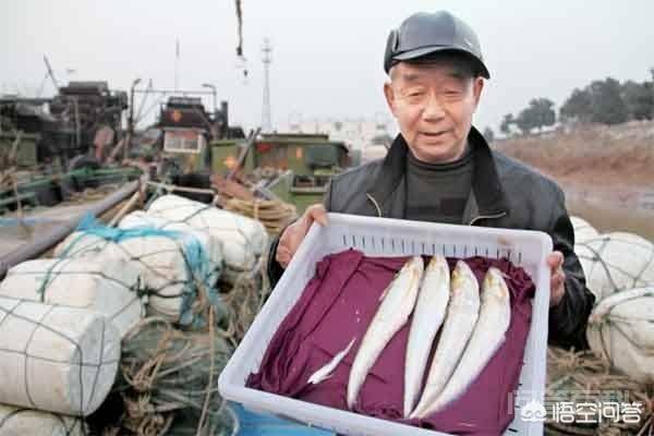 有人说野生长江刀鱼珍贵稀有且价格昂贵，但养殖的人却很少，对此你怎么看？为什么呢？,第2张