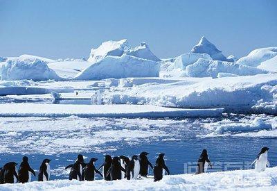 南极洲地势比北冰洋高吗,第3张