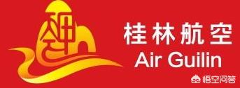 中国有哪些航空公司可以带宠物上飞机,第49张