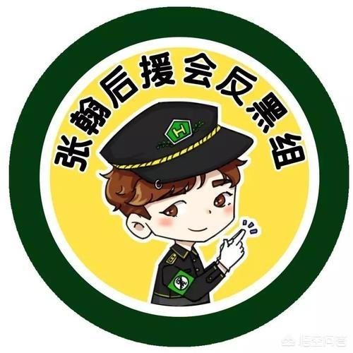 粉丝反黑组是什么意思？