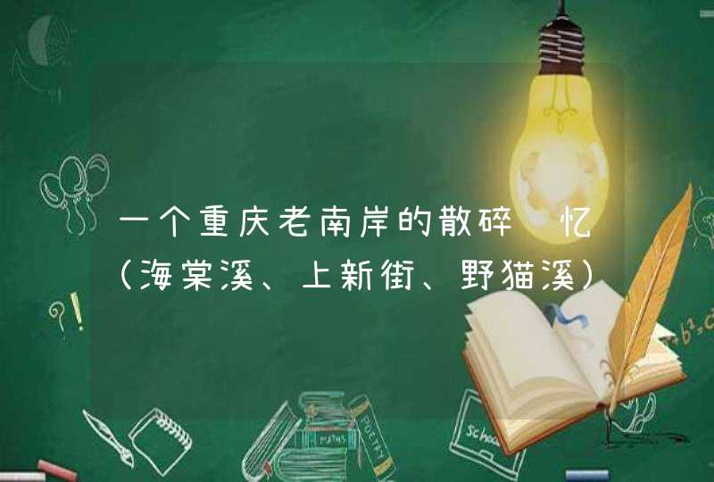 一个重庆老南岸的散碎记忆（海棠溪、上新街、野猫溪）,第1张