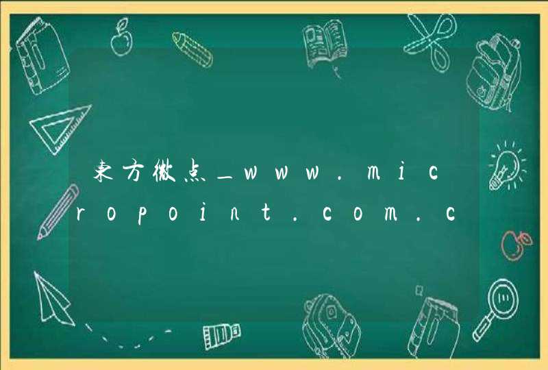 东方微点_www.micropoint.com.cn,第1张