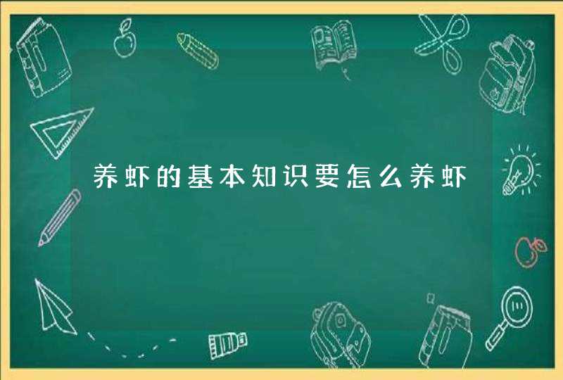 养虾的基本知识要怎么养虾,第1张