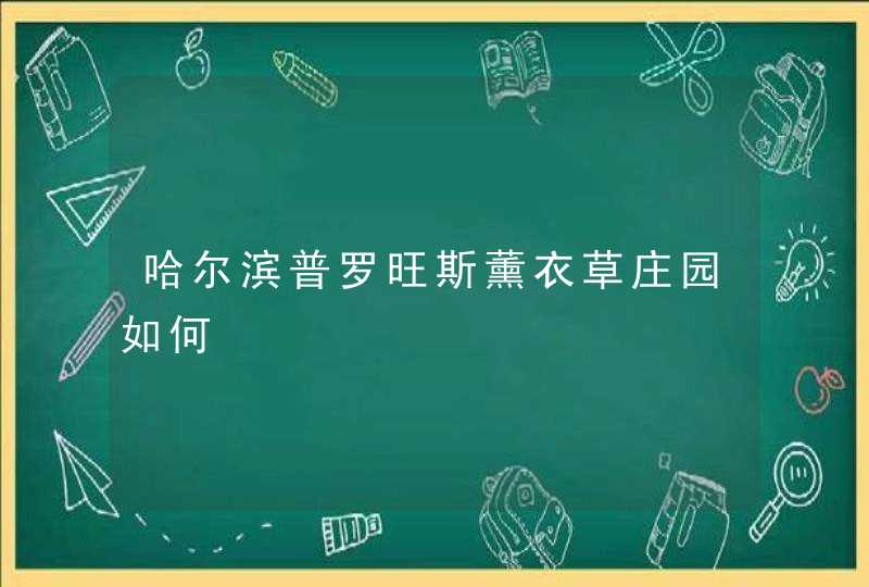 哈尔滨普罗旺斯薰衣草庄园如何,第1张