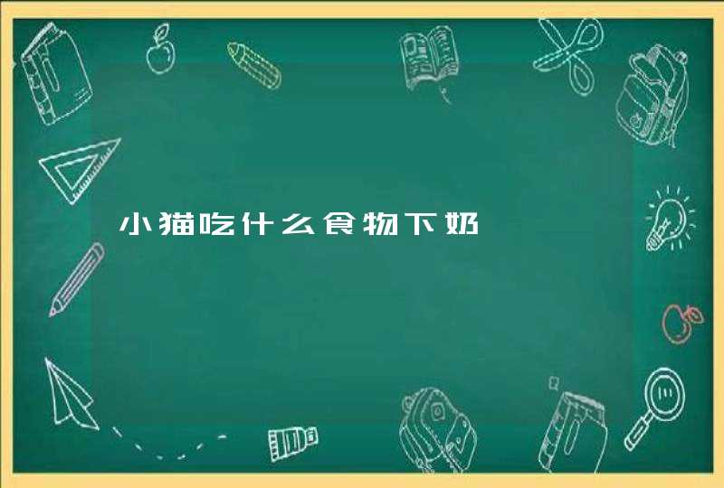 小猫吃什么食物下奶,第1张