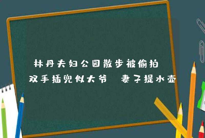 林丹夫妇公园散步被偷拍！双手插兜似大爷，妻子提水壶紧跟身后,第1张