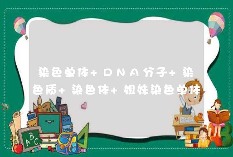 染色单体 DNA分子 染色质 染色体 姐妹染色单体 的定义是什么,第1张