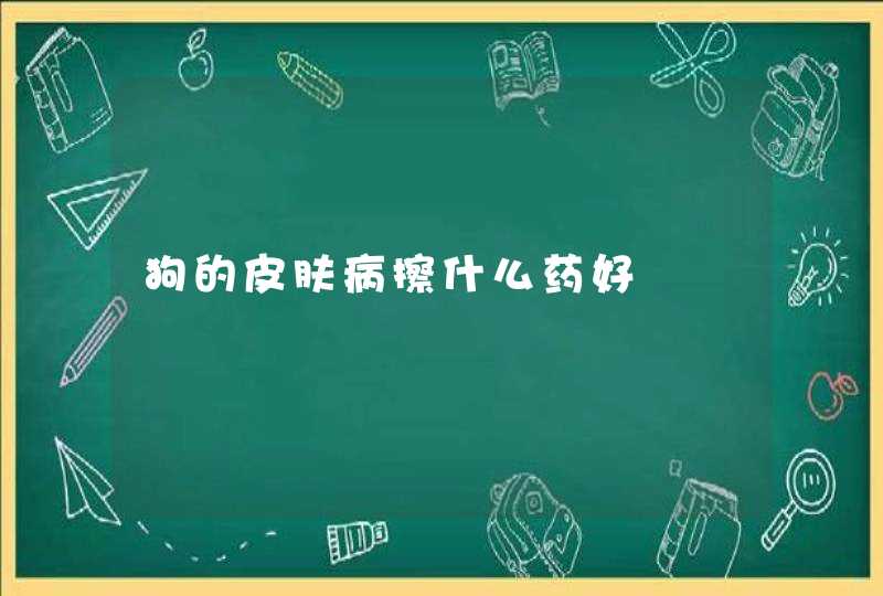 狗的皮肤病擦什么药好,第1张