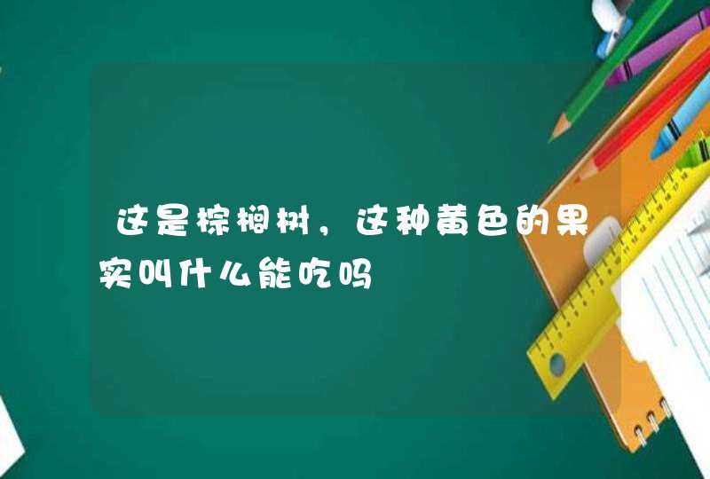 这是棕榈树，这种黄色的果实叫什么能吃吗,第1张