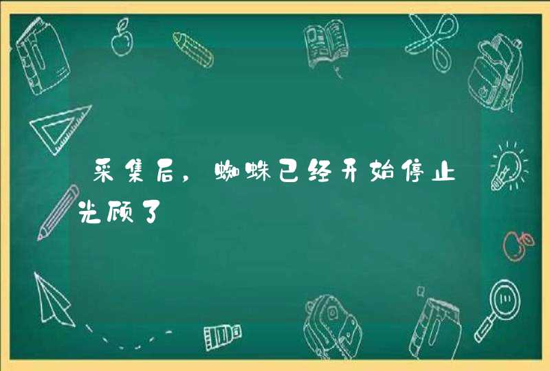 采集后，蜘蛛已经开始停止光顾了,第1张