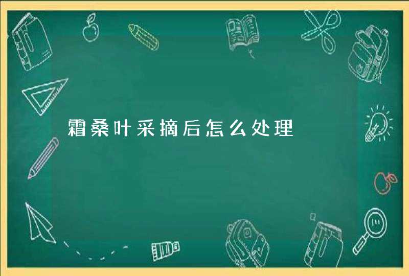 霜桑叶采摘后怎么处理,第1张