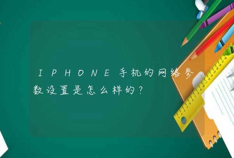 IPHONE手机的网络参数设置是怎么样的？,第1张