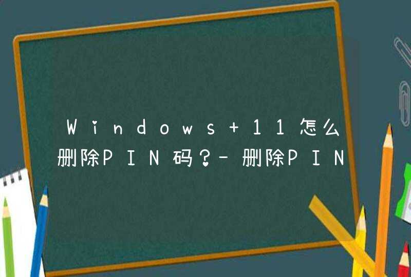 Windows 11怎么删除PIN码？-删除PIN码步骤,第1张