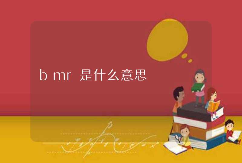 bmr是什么意思,第1张