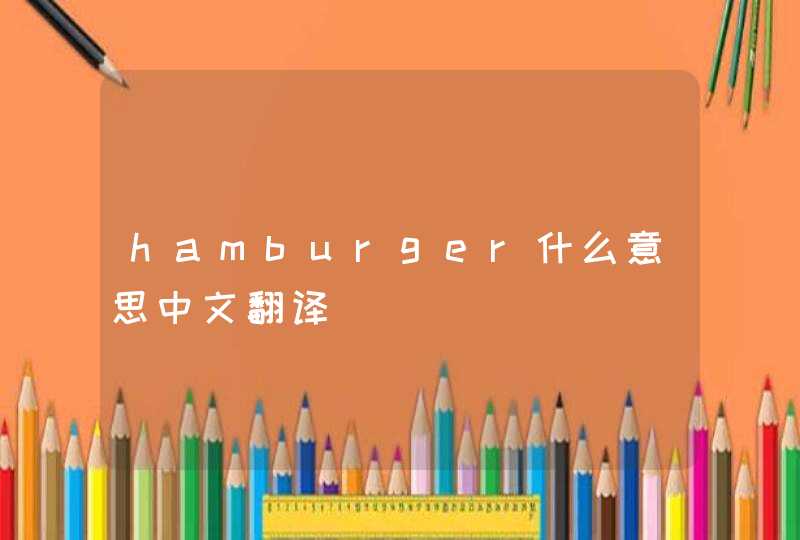 hamburger什么意思中文翻译,第1张