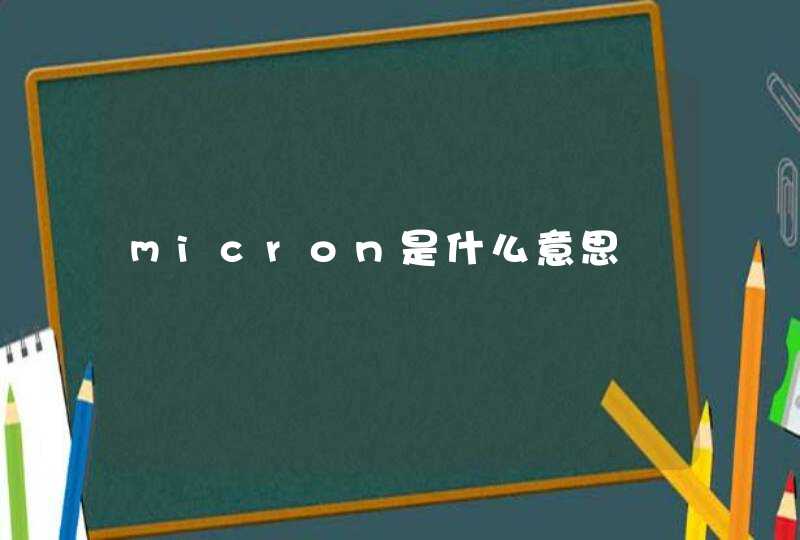 micron是什么意思,第1张