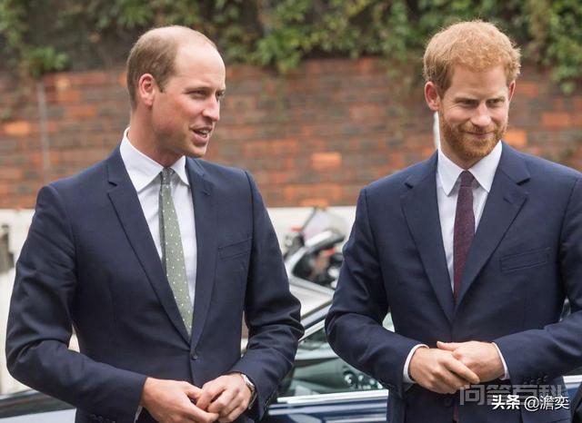 威廉王子的发型一直被各大英媒吐槽，是基因遗传还是英国的水质问题？,第5张