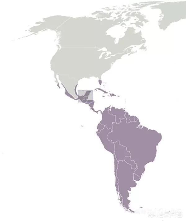 哥斯达黎加有几个省,第7张