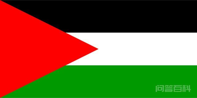 巴勒斯坦和巴基斯坦是不是一个国家?,第3张
