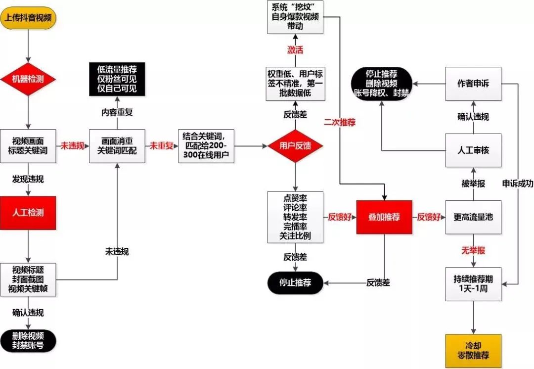 抖音号和微信视频号对比，做哪个更容易火？