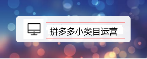 拼多多小类目产品有哪些？教你小类目怎么运营,拼多多小类目产品有哪些,第2张